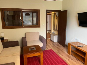 Ski Zone at Gondola, 1 Bdrm, Fast WiFi, Netflix, Quiet, Warm
